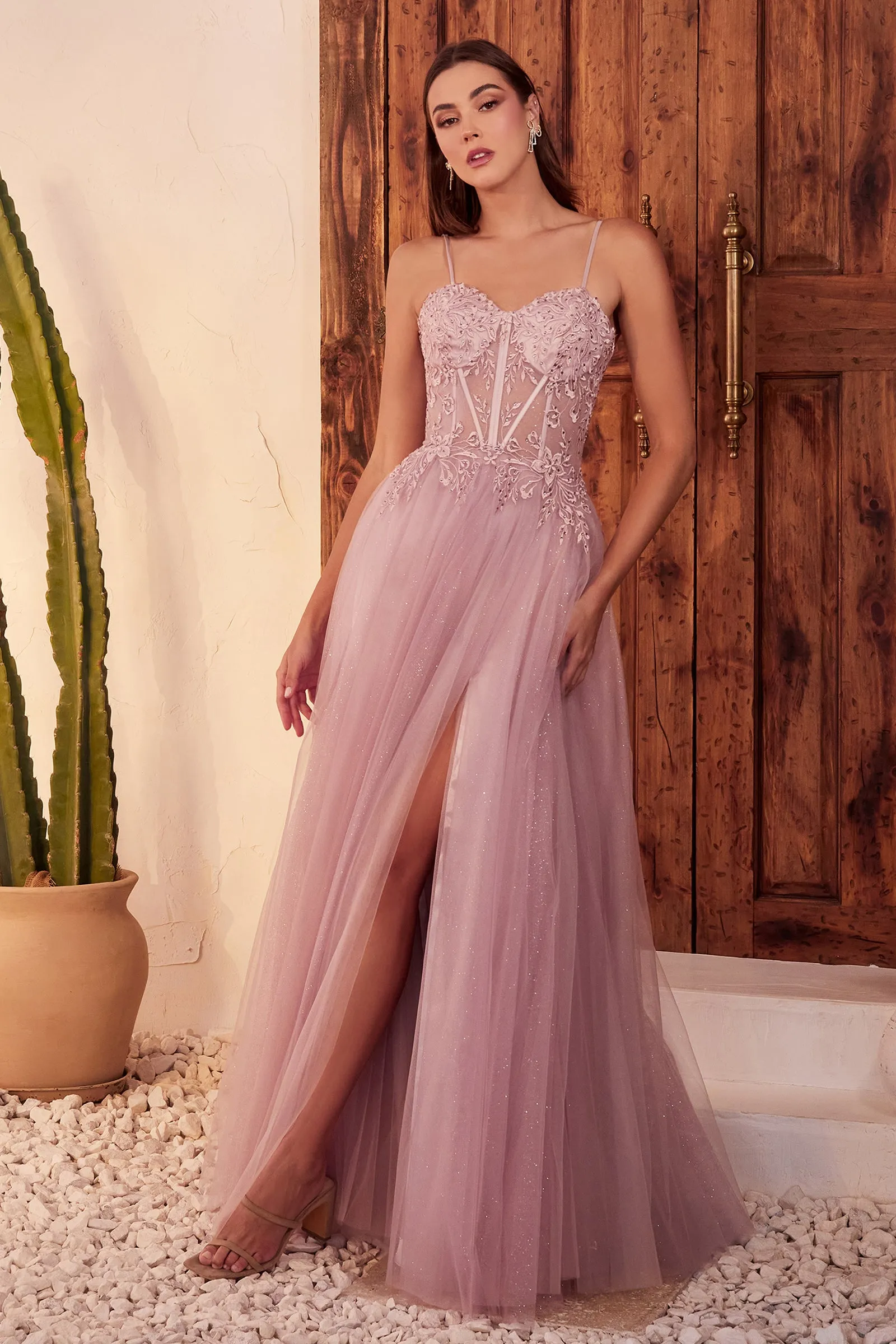CINDERELLA DIVINE C150 A-Line Stunning Dress with Sheer Bodice